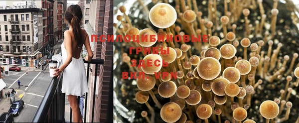 кокс Алексеевка