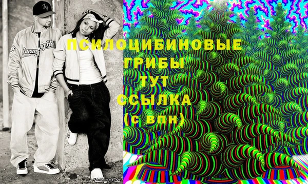 шишки Алзамай