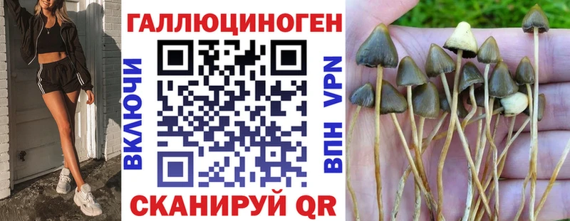 ссылка на мегу ТОР  Ливны  Галлюциногенные грибы Cubensis 